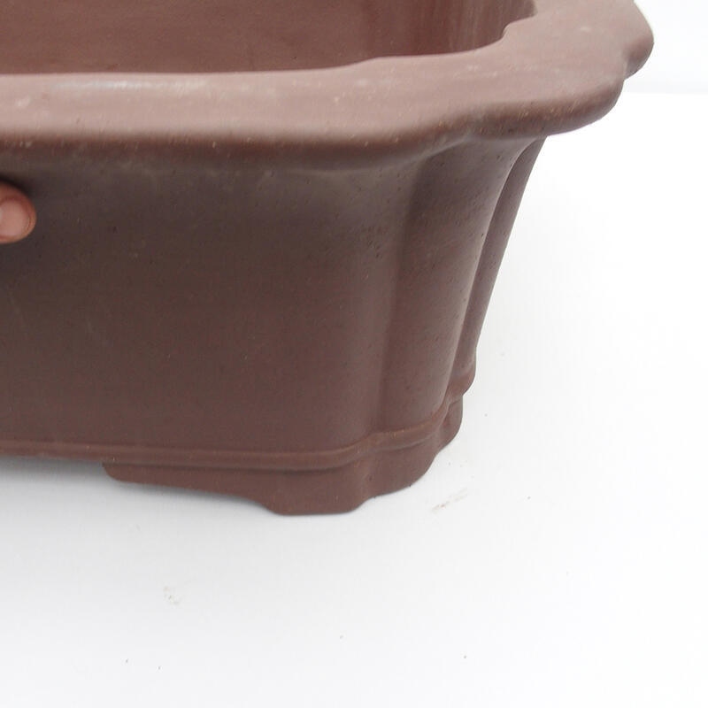 Ciotola bonsai 76 x 60 x 23 cm - Qualità giapponese