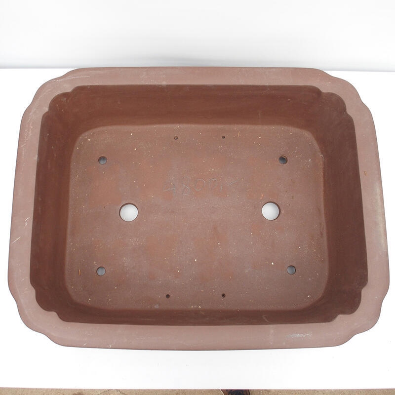 Ciotola bonsai 76 x 60 x 23 cm - Qualità giapponese