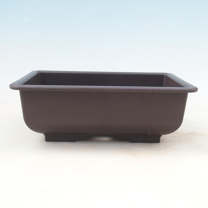 Ciotola per bonsai in plastica MP-2vacl Brown - 21,5 x 15,5 x 7,5 cm