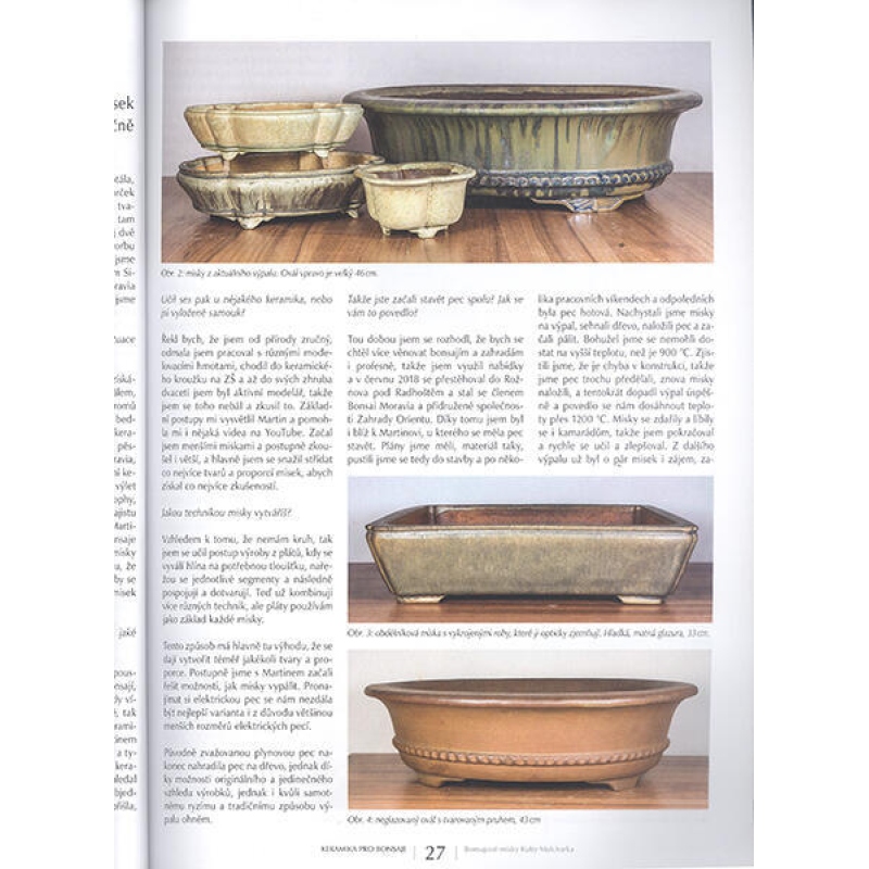 Bonsai e giardini giapponesi n. 63