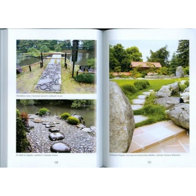 Bonsai e giardini non solo in Giappone