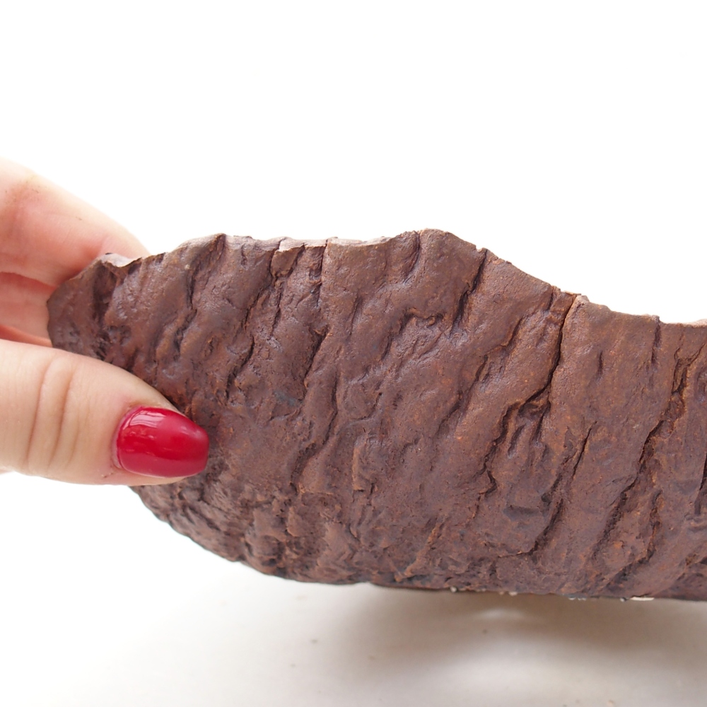 Conchiglia in ceramica 19 x 18 x 5,5 cm , colore marrone