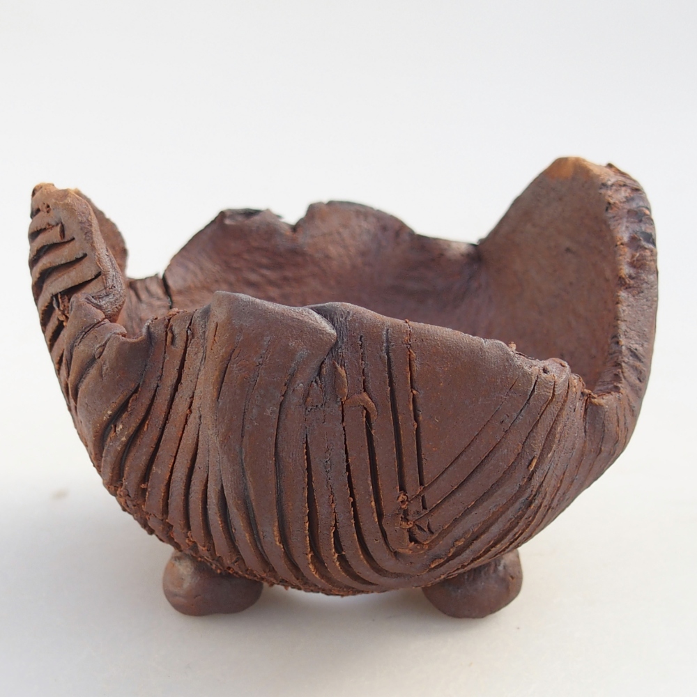 Conchiglia in ceramica 10 x 9,5 x 7 cm , colore marrone