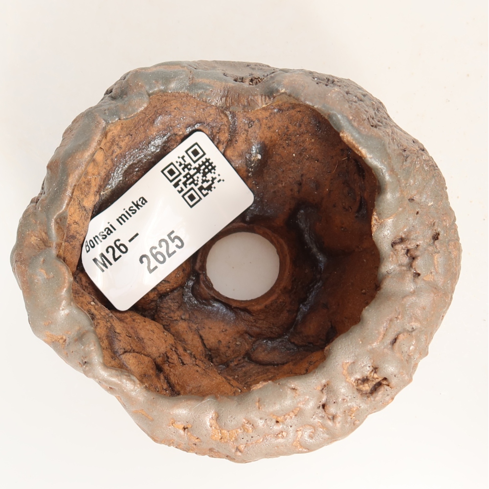 Guscio in ceramica  8 x 7,5 x 4,5 cm, colore verde