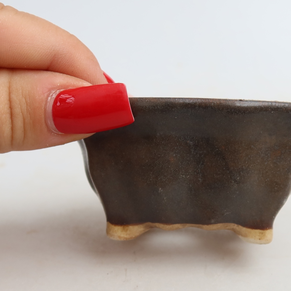 Ciotola per bonsai in ceramica 7 x 7 x 3,5 cm, marrone