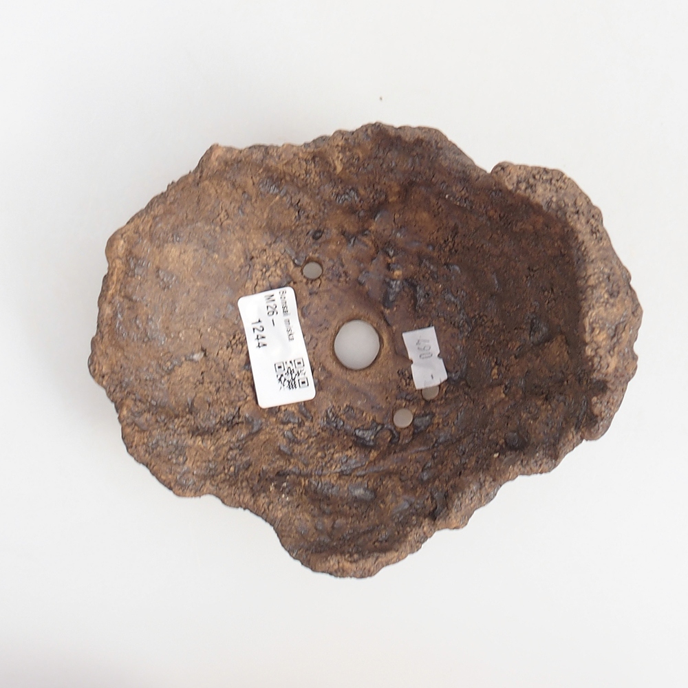 Guscio in ceramica 14,5 x 13 x 13 cm , colore marrone