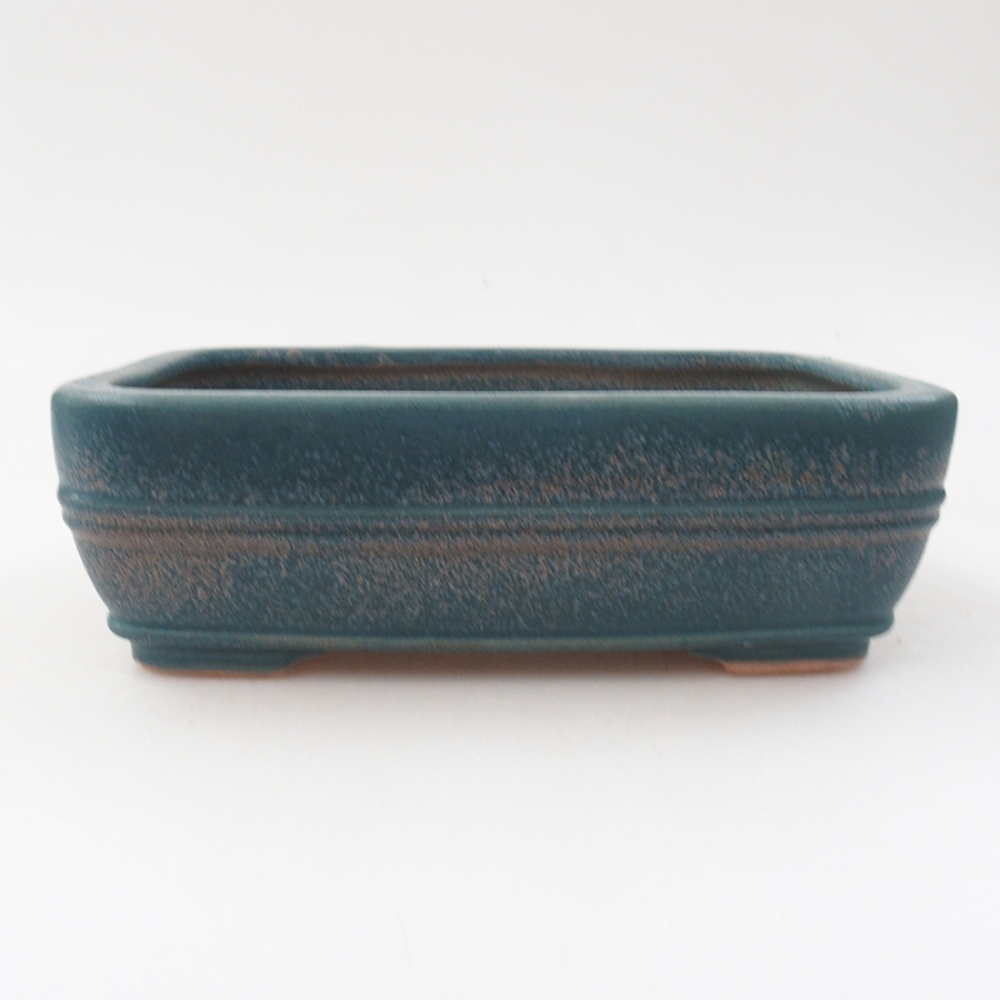 Ciotola bonsai in ceramica 17 x 12 x 5,5 cm, colore blu