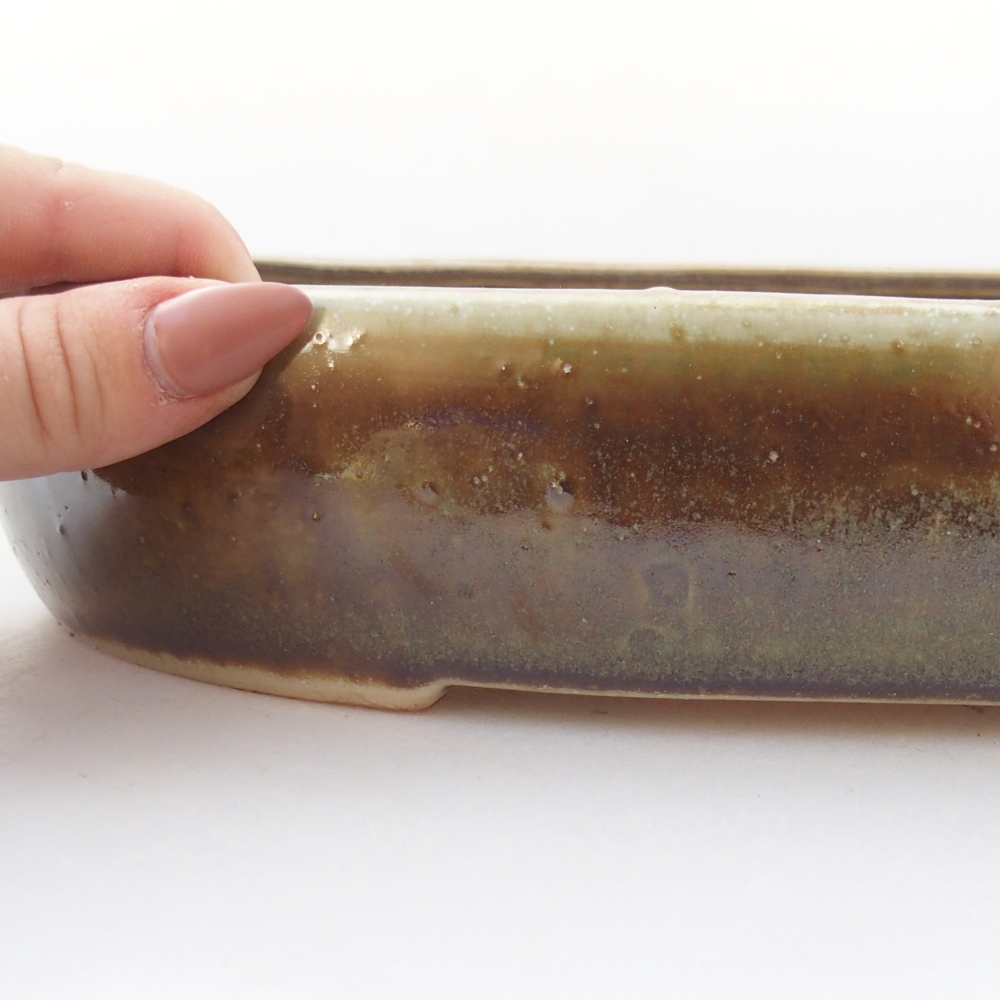 Ciotola bonsai in ceramica 27 x 21 x 5 cm, verde