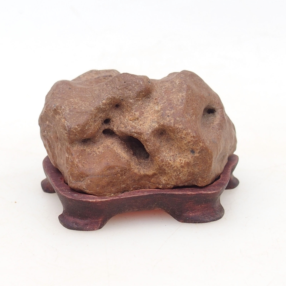 Suiseki - Pietra con DAI (base in legno)