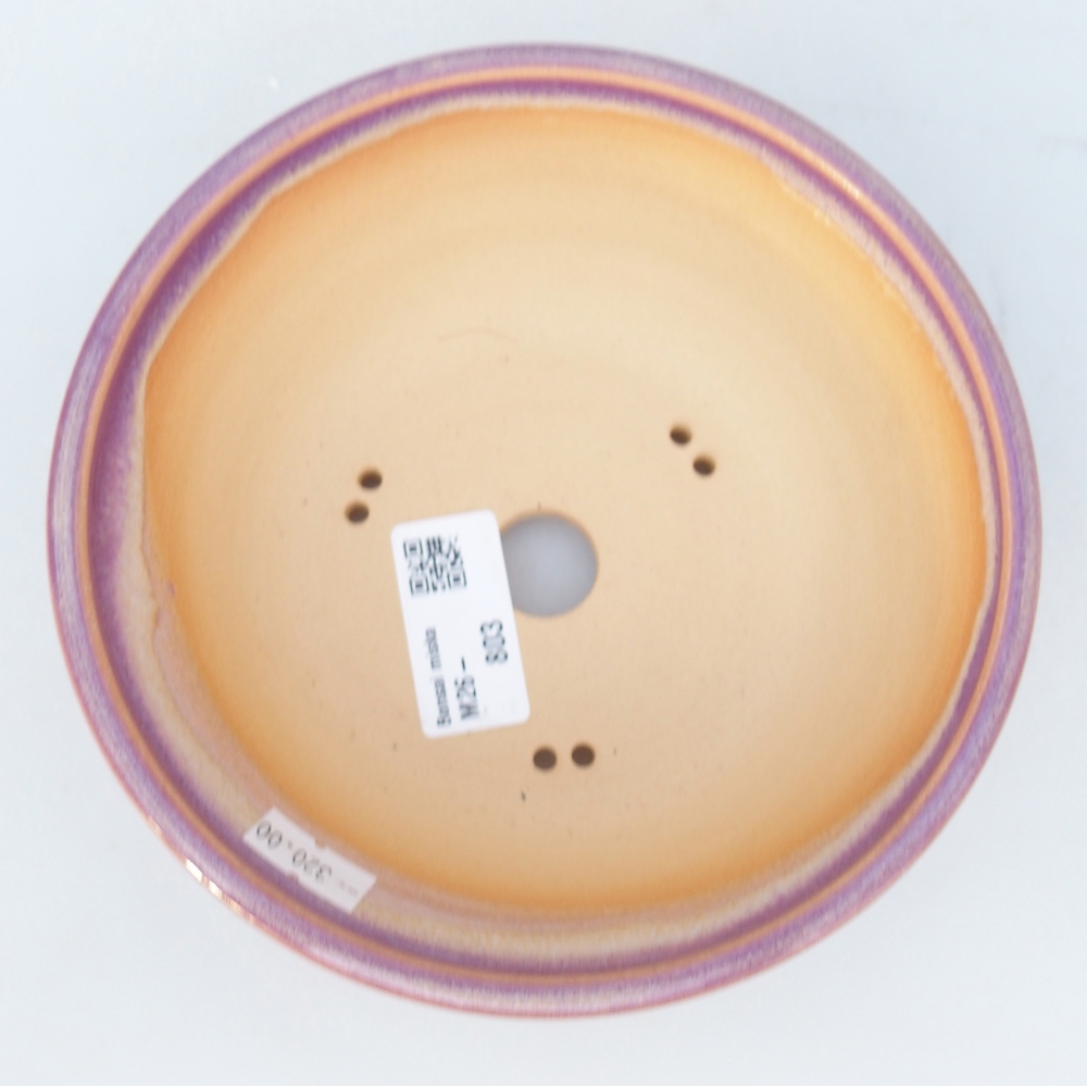 Ciotola per bonsai in ceramica 16 x 16 x 5,5 cm, colore viola