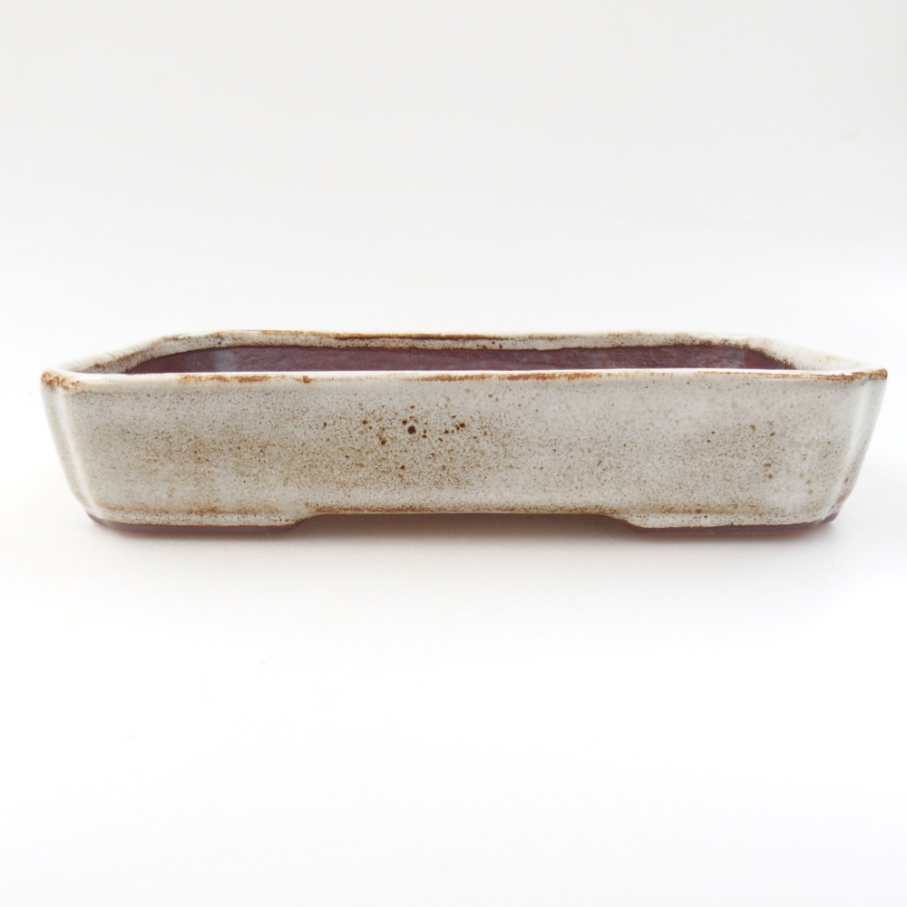 Ciotola bonsai in ceramica 22 x 17 x 5 cm, verde