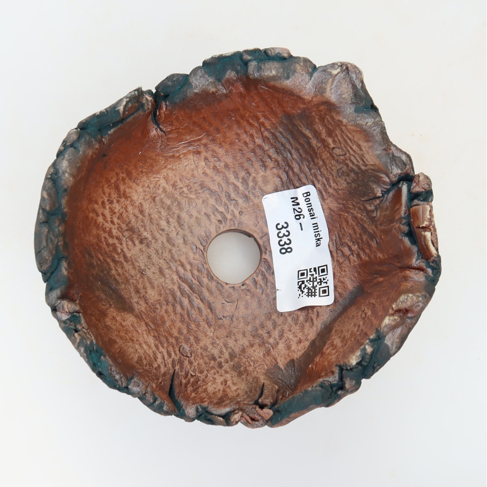 Guscio in ceramica  10,5 x 11 x 7 cm, colore verde