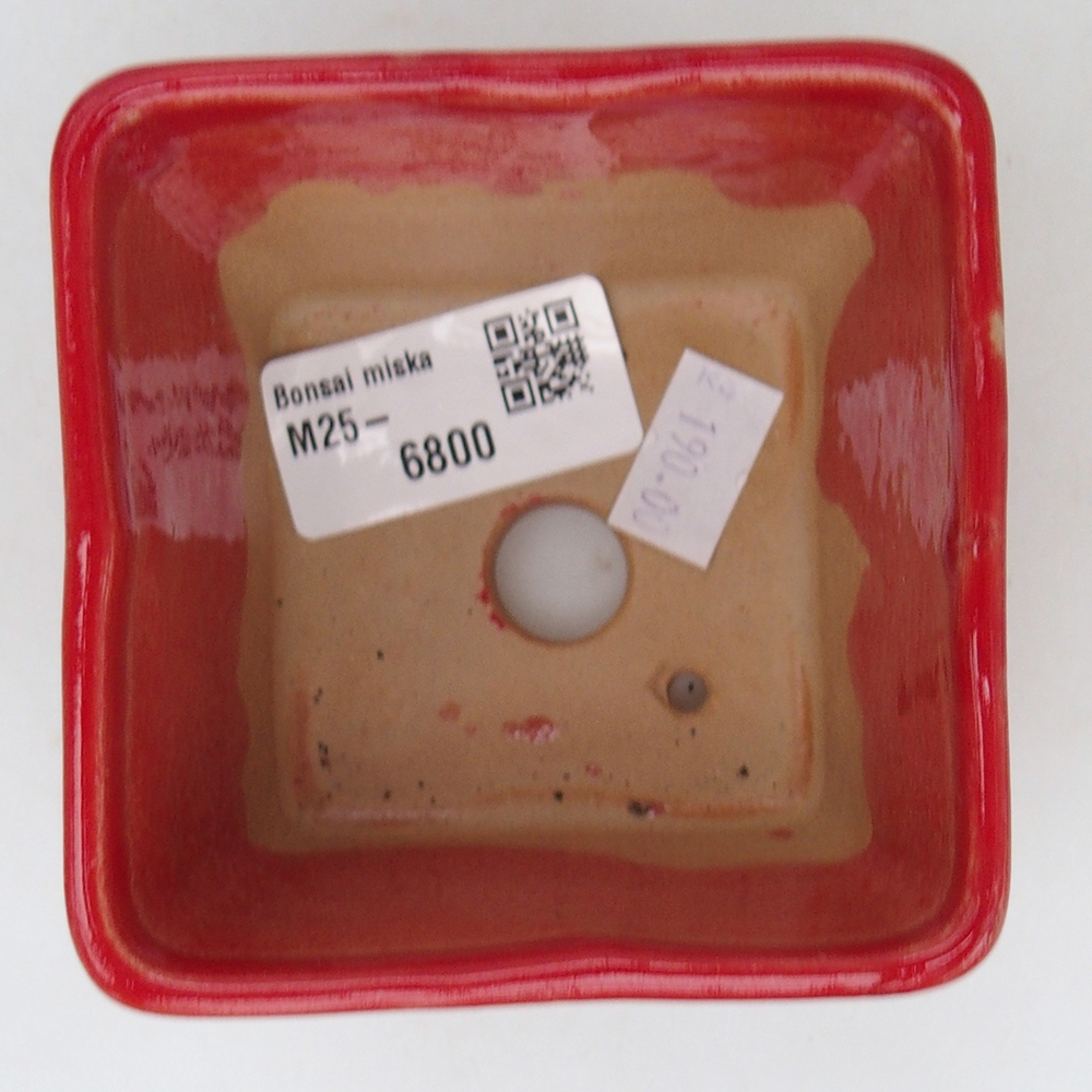 Ciotola per bonsai in ceramica 8,5 x 8,5 x 6 cm, colore rosso