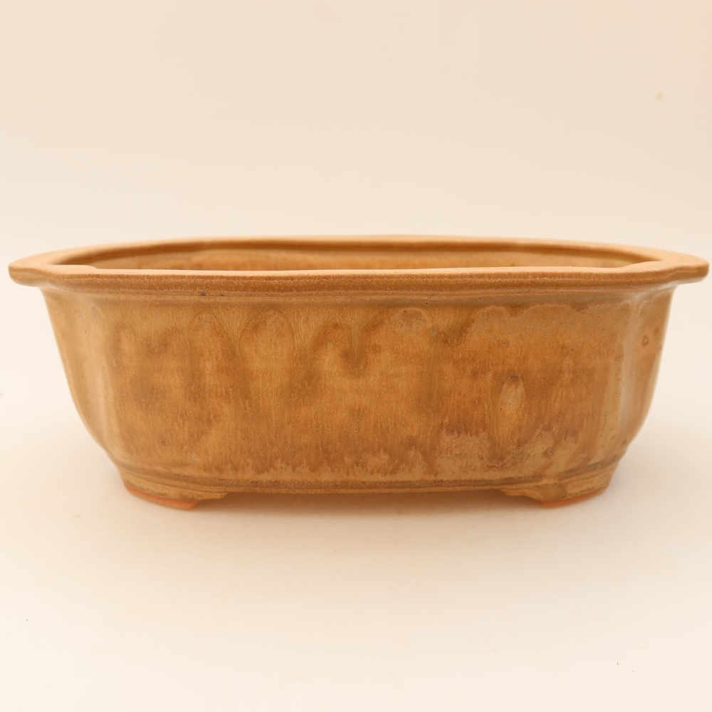 Ciotola bonsai in ceramica 22,5 x 17,5 x 7,5 cm, colore beige