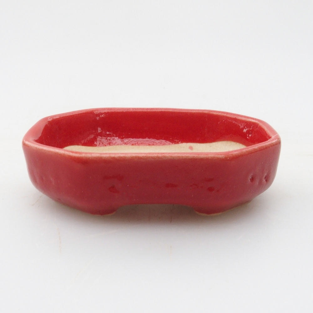 Mini bonsai 5,5 x 4 x 1,5 cm, colore rosso