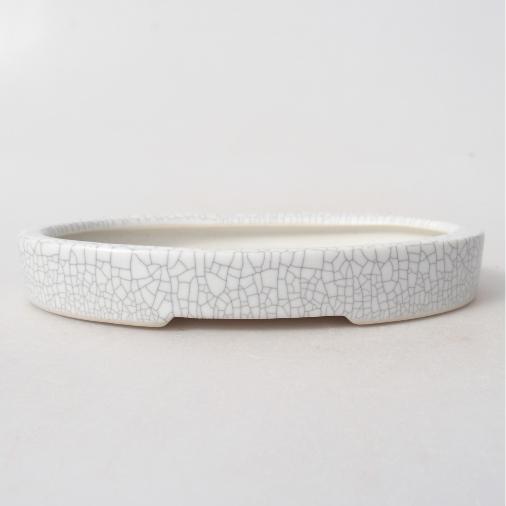 Ciotola bonsai in ceramica 15,5 x 10 x 2 cm, colore raku