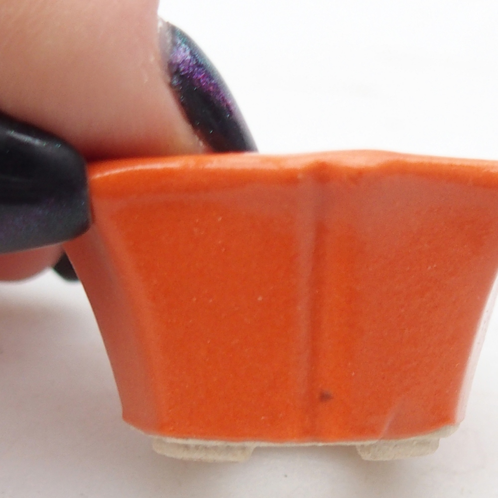 Ciotola per mini bonsai 3,5 x 3,5 x 2 cm, arancione