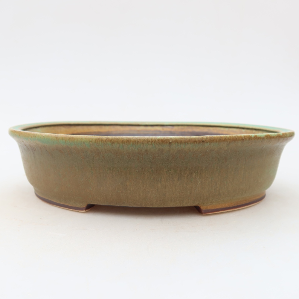 Vaso da bonsai in ceramica 21 x 19,5 x 5 cm, colore verde
