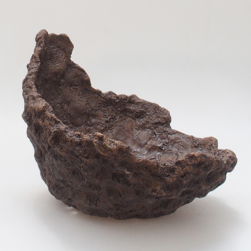 Conchiglia in ceramica 22 x 21 x 20 cm , colore marrone