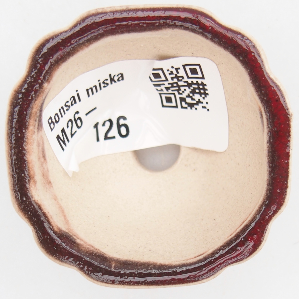 Mini bonsai 4,5 x 4,5 x 2,5 cm, colore rosso