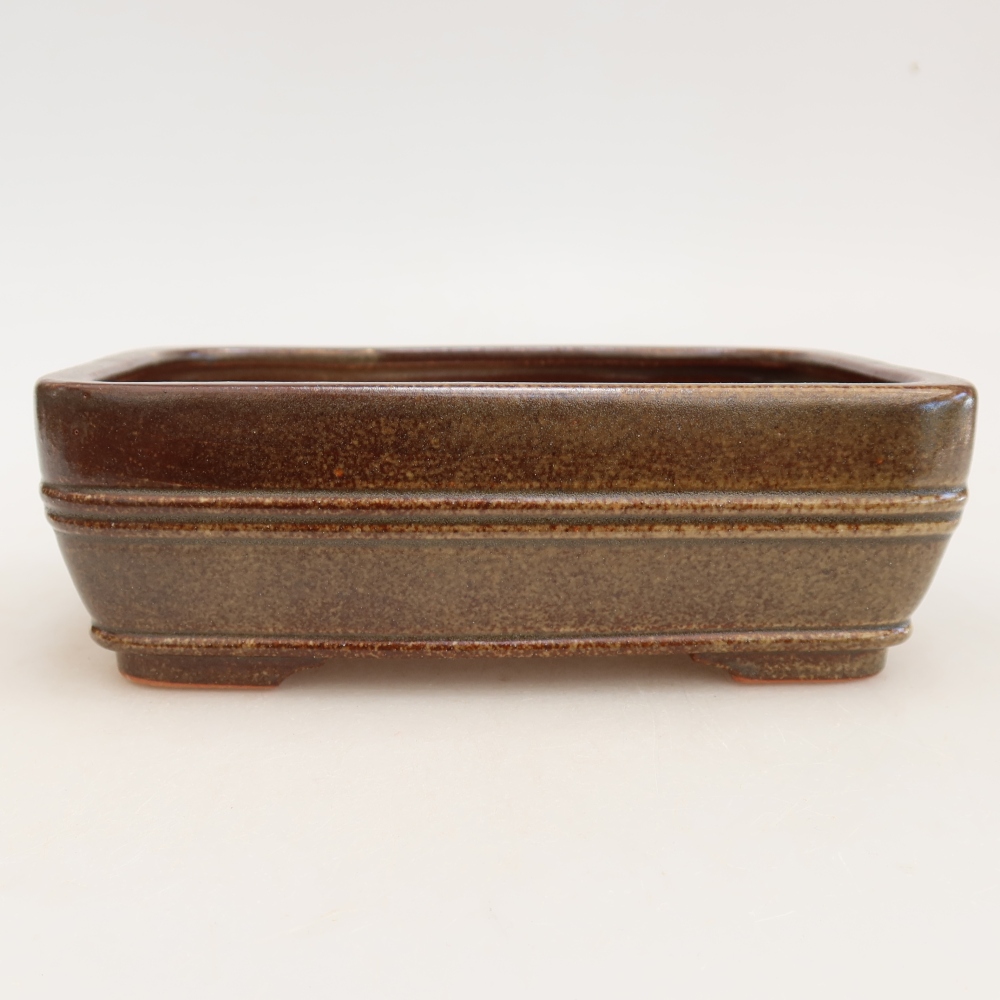 Vaso da bonsai in ceramica 17 x 12,5 x 5,5 cm, colore marrone