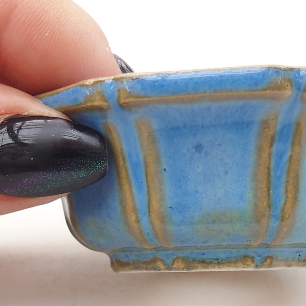 Mini bonsai 6 x 6 x 2,5 cm, colore blu