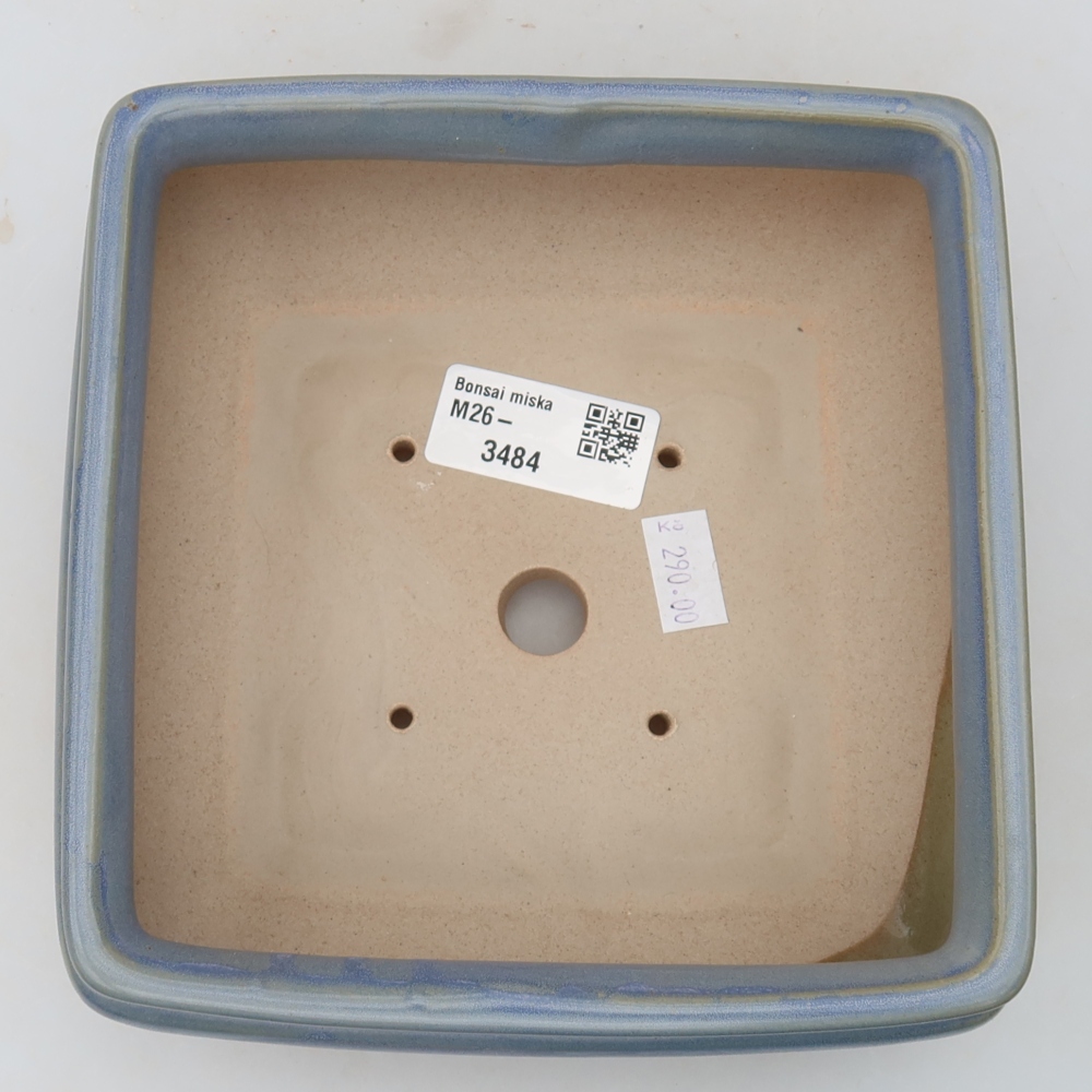 Vaso in ceramica per bonsai 15,5 x 15,5 x 6 cm, colore blu
