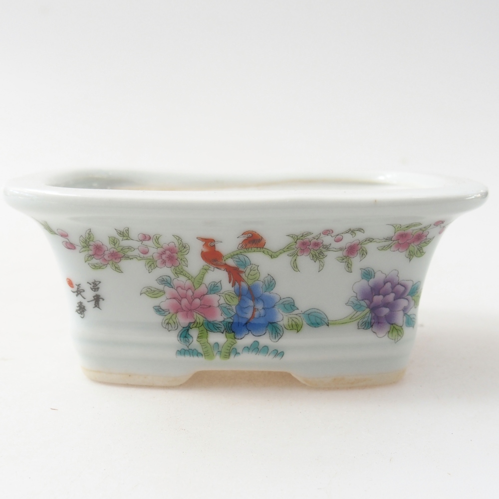 Mini bonsai 10 x 7,5 x 4 cm, colore bianco