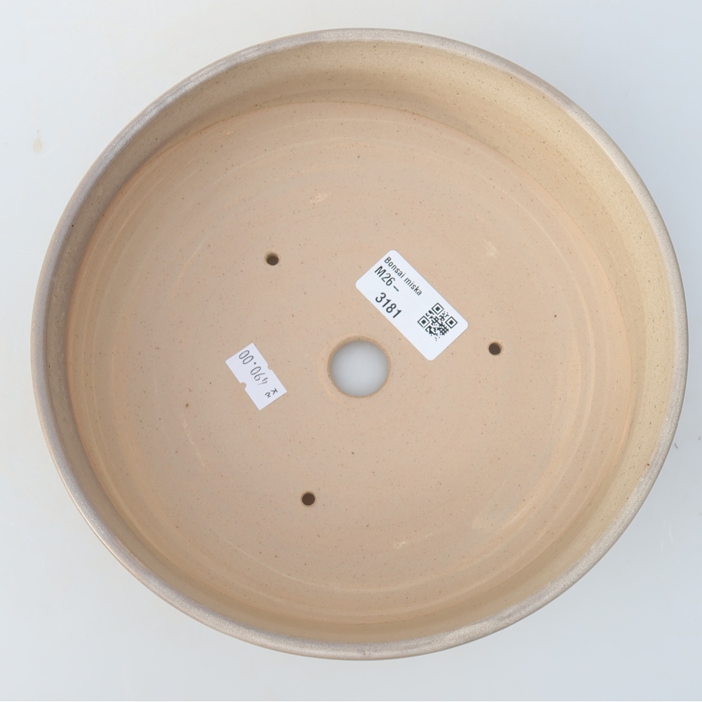 Vaso da bonsai in ceramica 20 x 20 x 6,5 cm, colore beige