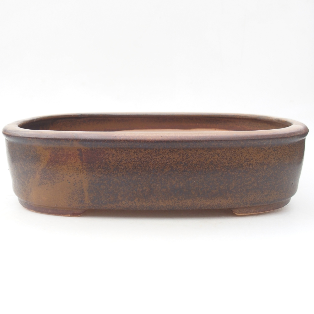 Ciotola per bonsai in ceramica 32 x 25 x 7,5 cm, marrone