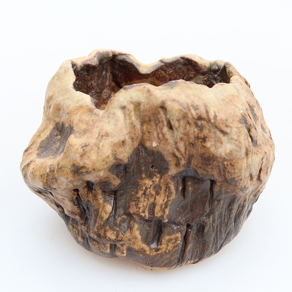 Guscio in ceramica  5,5 x 5,5 x 6 cm , colore marrone