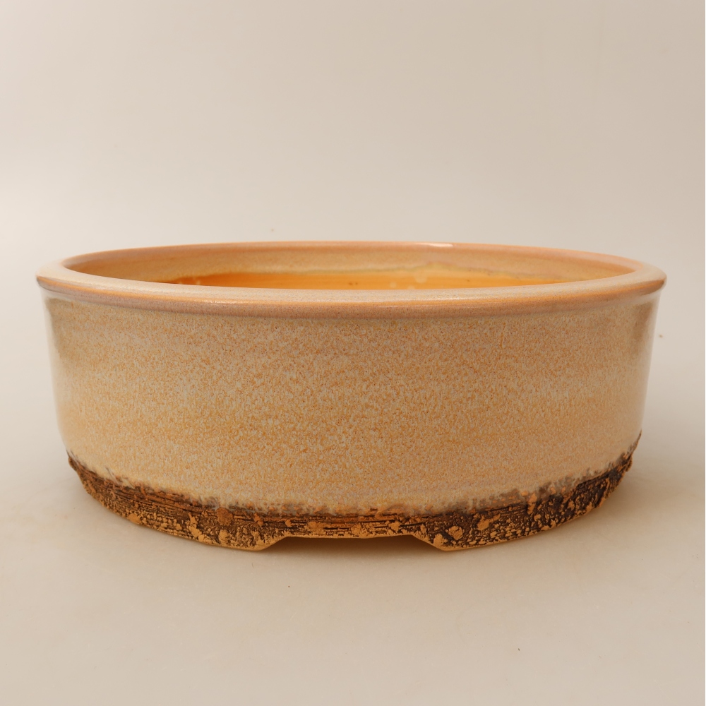 Vaso da bonsai in ceramica 24,5 x 24,5 x 8 cm, colore beige