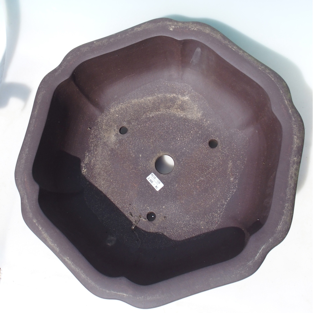 Ciotola per bonsai 61 x 57,5 x 18 cm - marrone