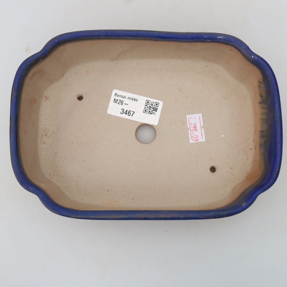 Vaso da bonsai in ceramica 18,5 x 13 x 5 cm, colore blu