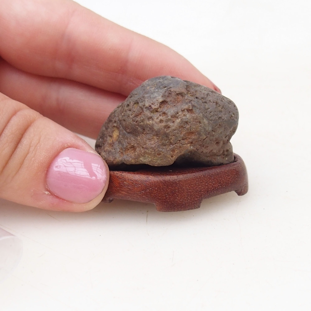 Suiseki - Pietra con DAI (base in legno)