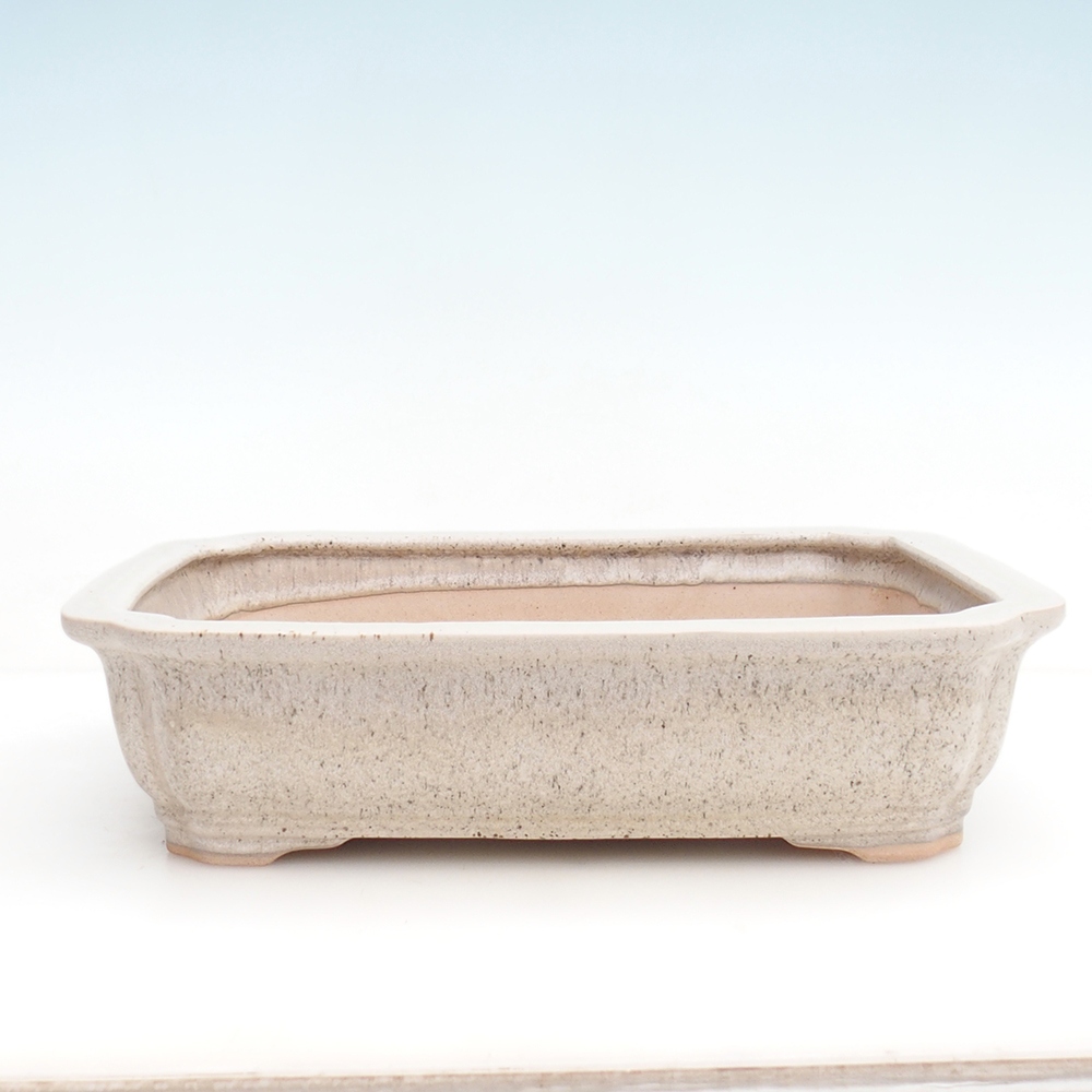 Ciotola per bonsai H07 - 30 x 20,5 x 8 cm.