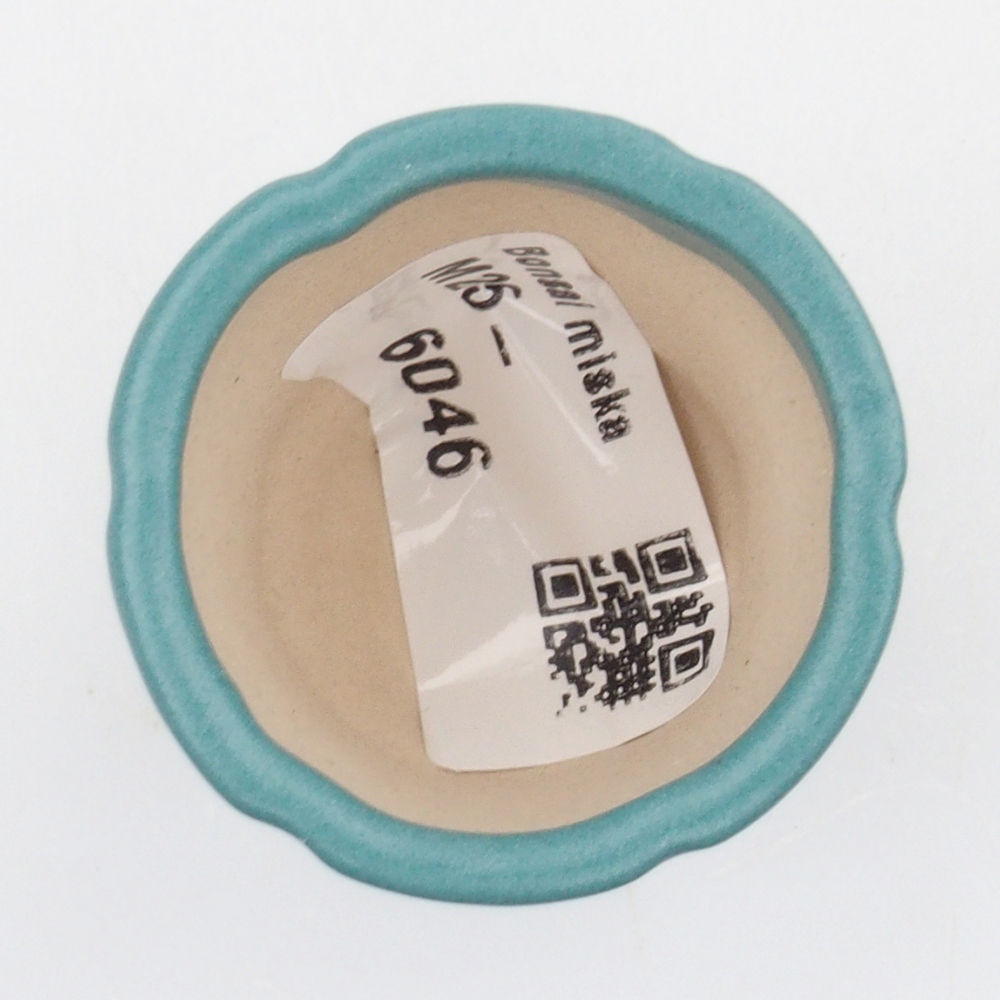 Ciotola bonsai in ceramica 6,5 x 5,5 x 4 cm, colore blu