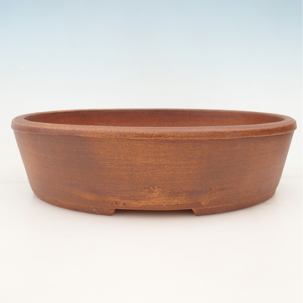 Ciotola per bonsai 32,5 x 26 x 9 cm , colore marrone