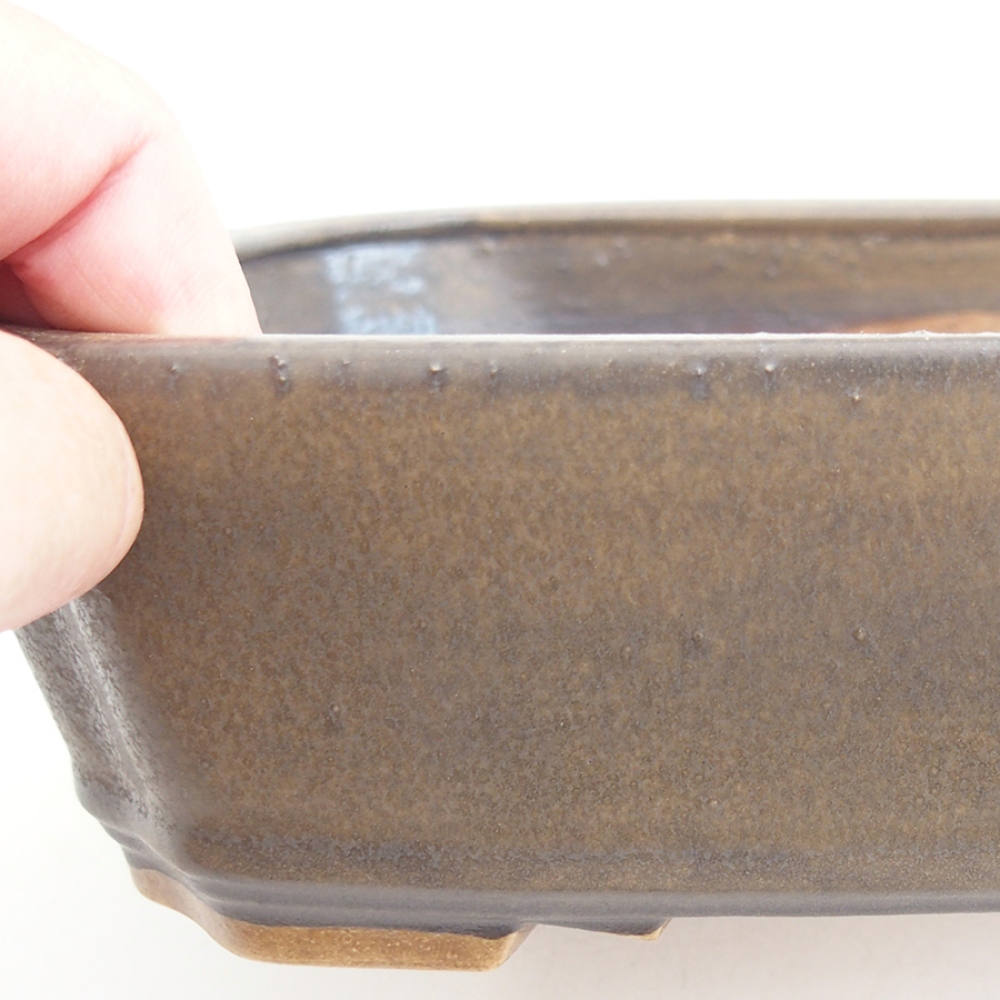 Ciotola per bonsai in ceramica 21 x 18 x 6 cm, marrone