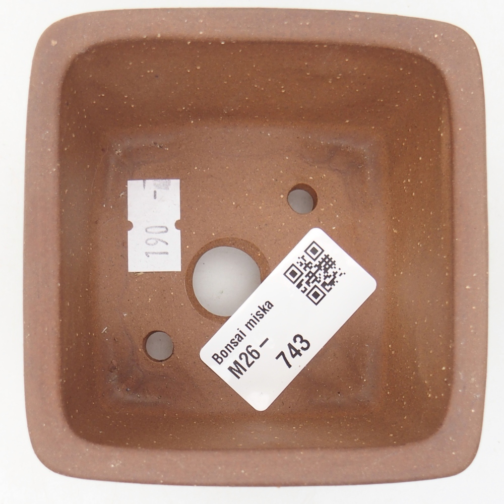 Ciotola per bonsai in ceramica 8,5 x 8,5 x 5,5 cm, marrone