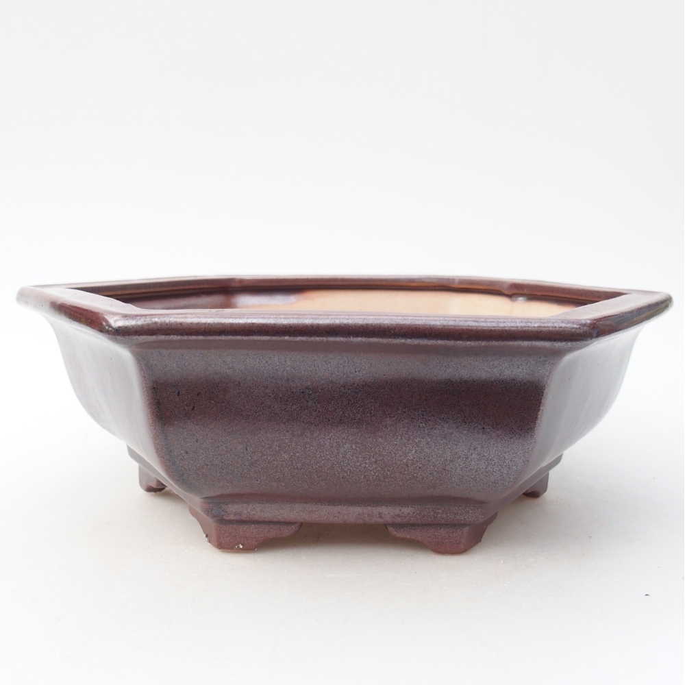 Ciotola bonsai in ceramica 24 x 21 x 7,5 cm, colore bordeaux