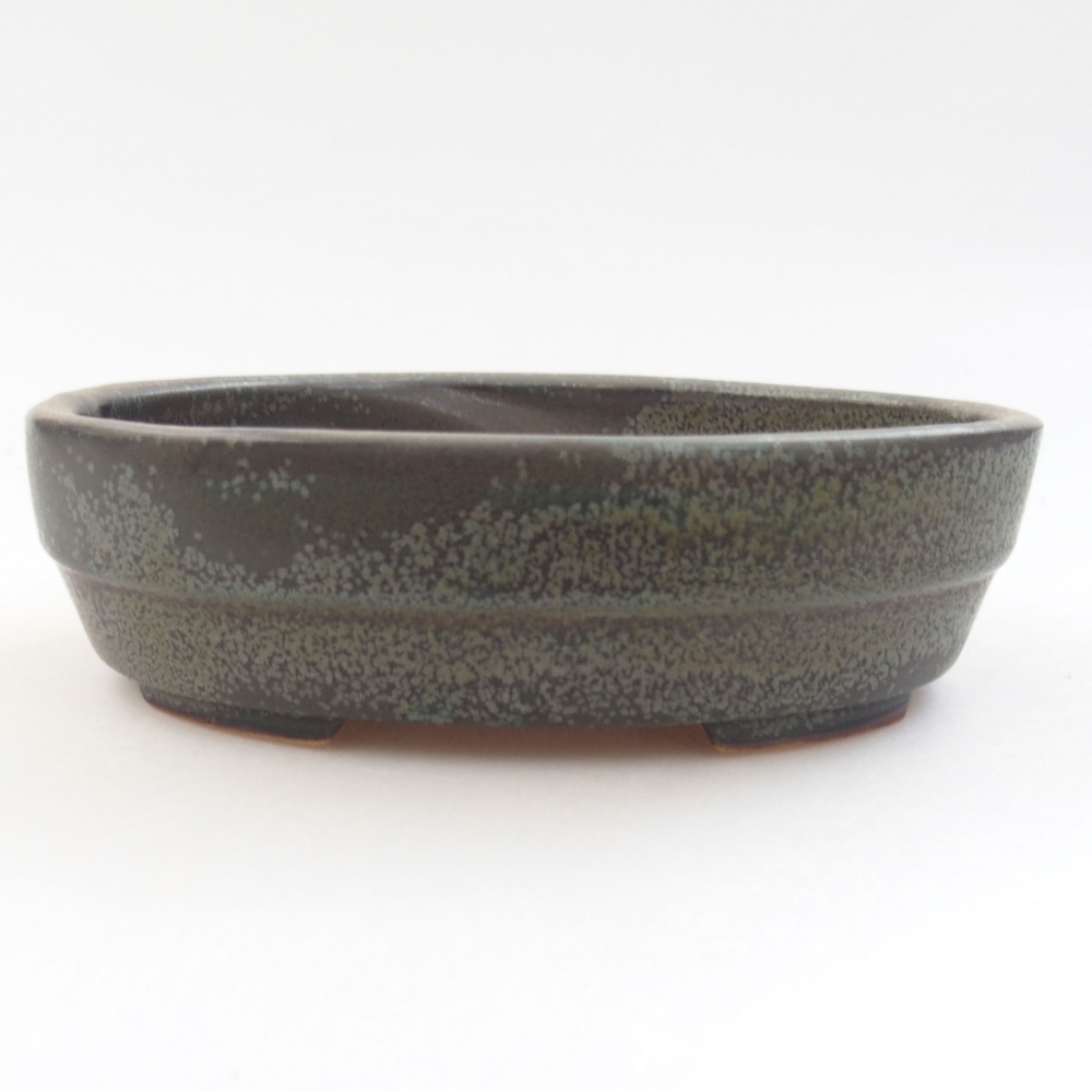 Ciotola bonsai in ceramica 22 x 17 x 5 cm, verde