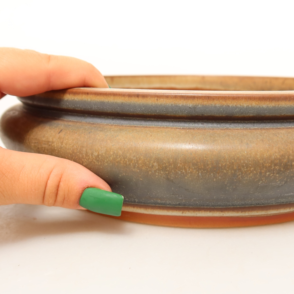 Conchiglia in ceramica 23 x 23 x 7 cm , colore marrone