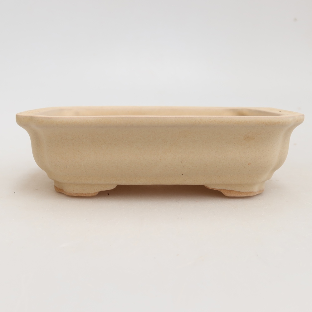 Ciotola bonsai in ceramica 14 x 11 x 4 cm, colore beige
