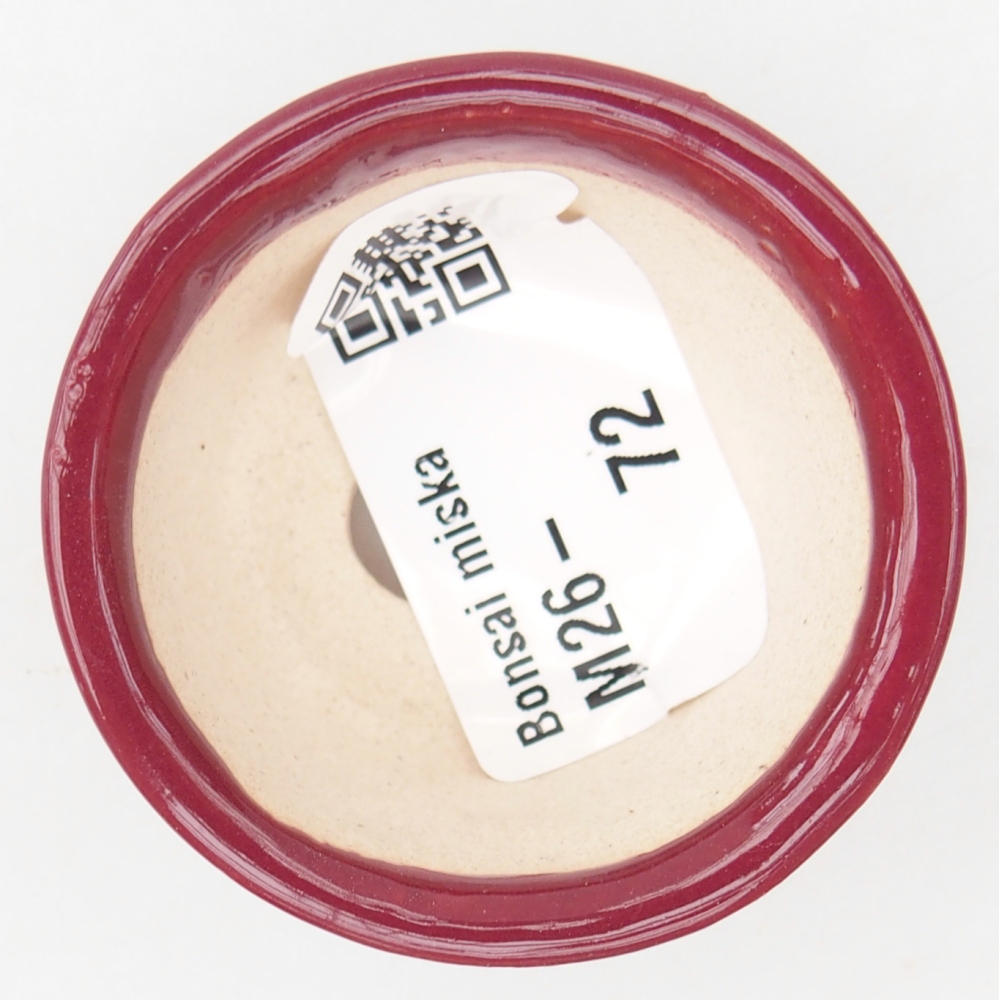 Ciotola per mini bonsai 4,5 x 4,5 x 2,5 cm, bordeaux