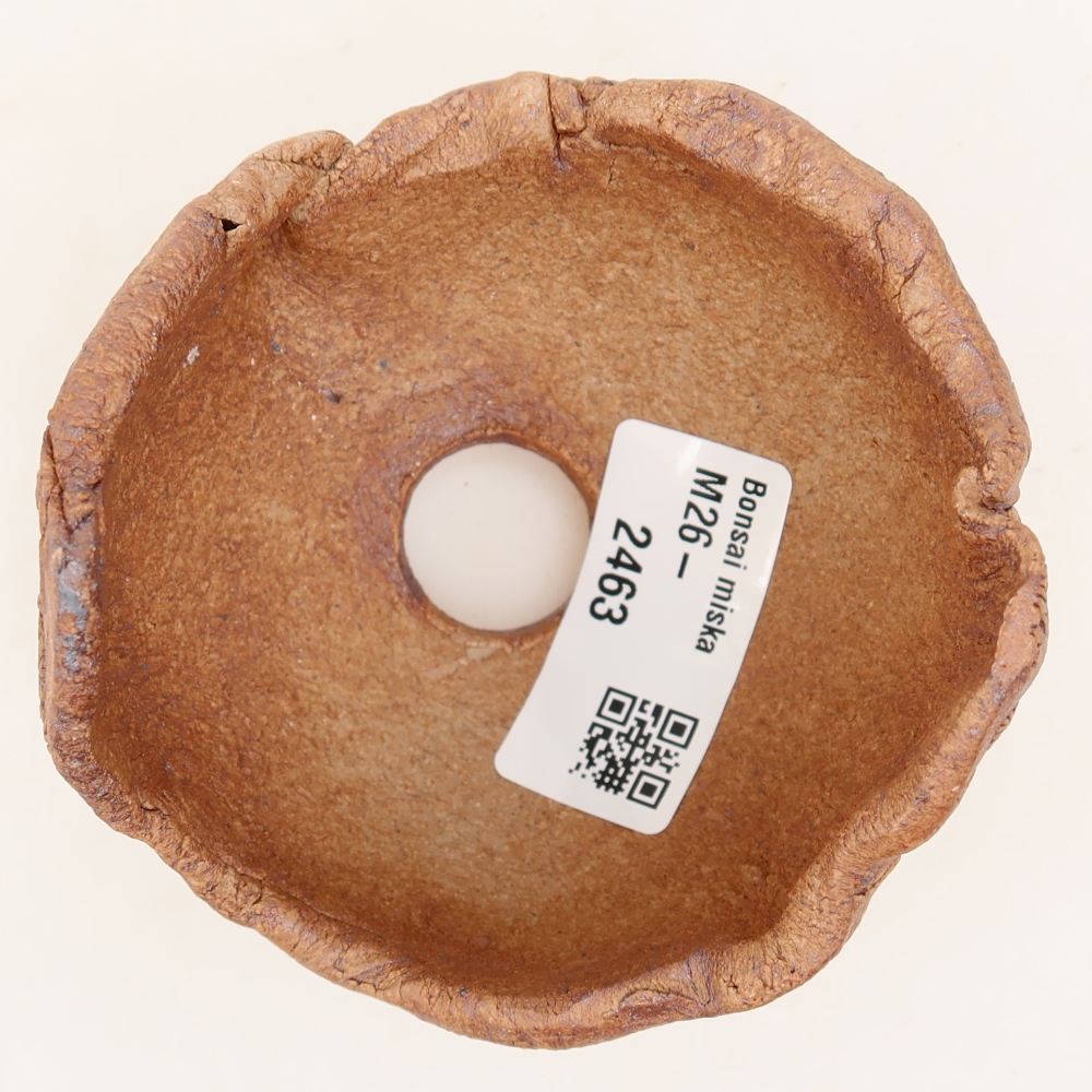Guscio in ceramica  9 x 8 x 7 cm, colore marrone