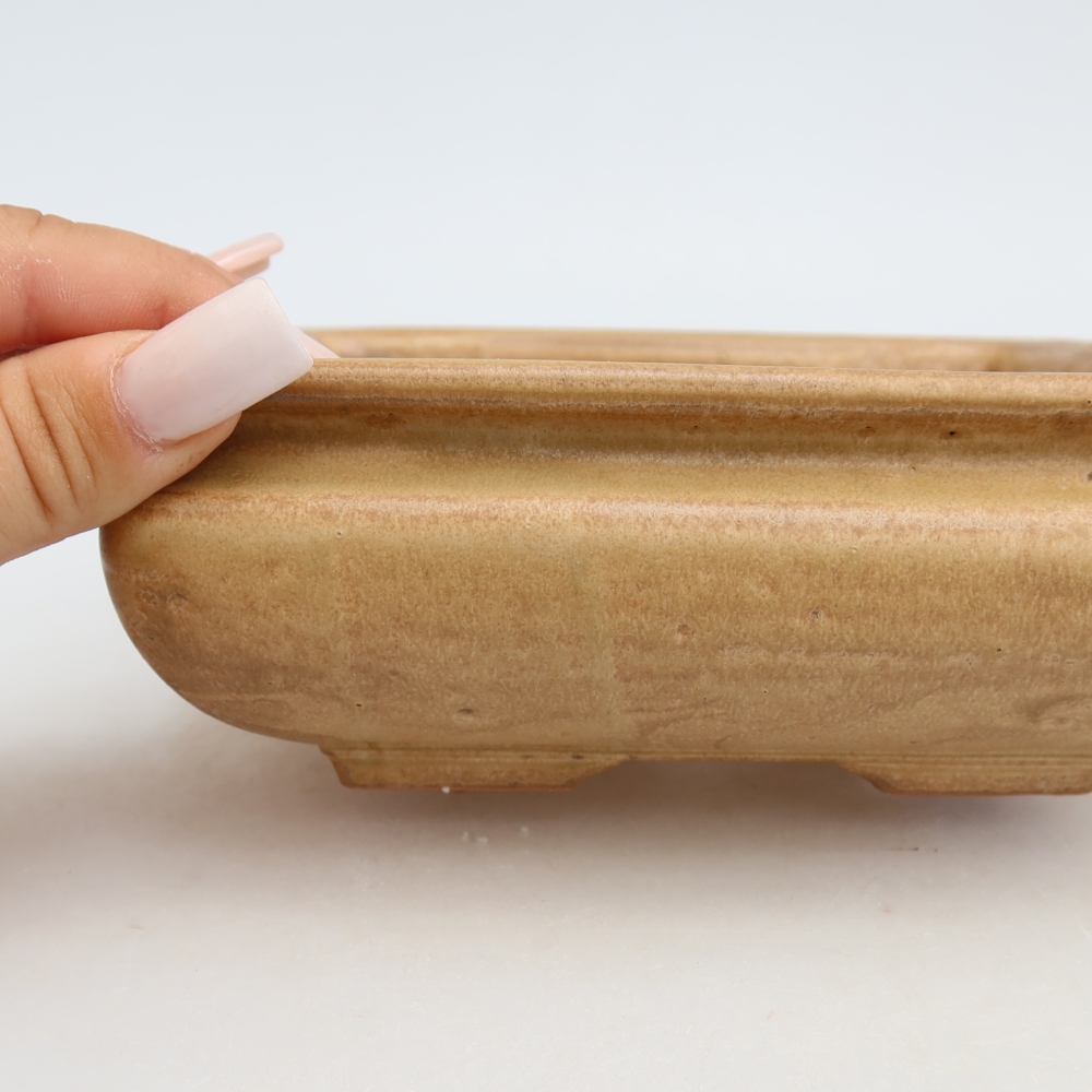 Vaso da bonsai in ceramica 15,5 x 15,5 x 6 cm, colore beige