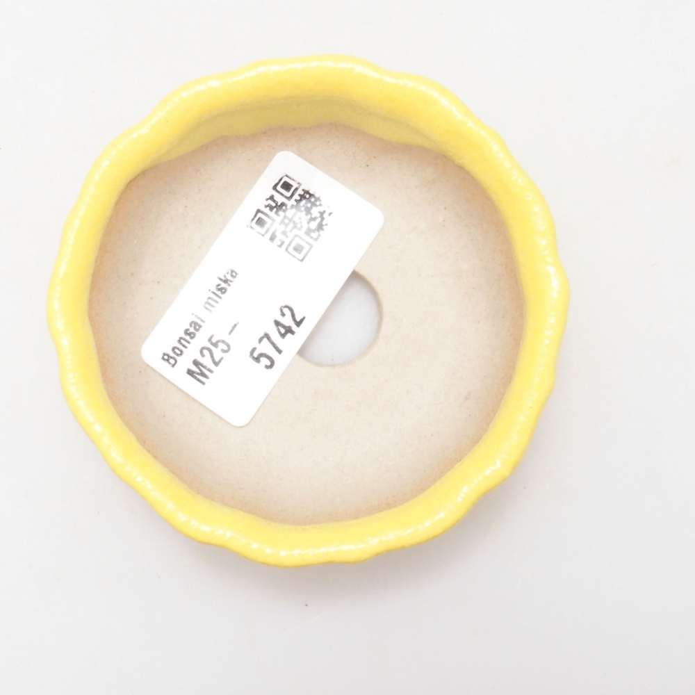 Ciotola bonsai in ceramica 7 x 7 x 2 cm, giallo