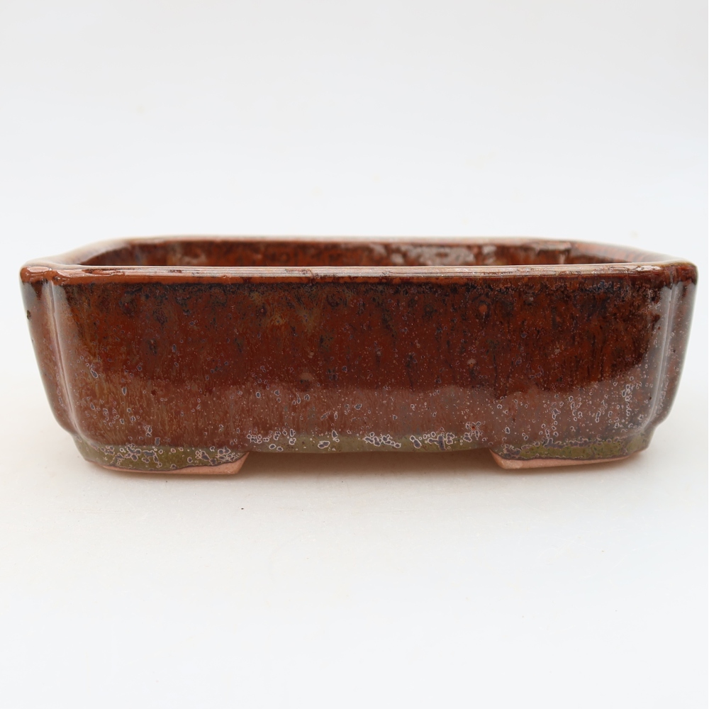 Ciotola per bonsai in ceramica 15 x 12,5 x 4,5 cm, marrone
