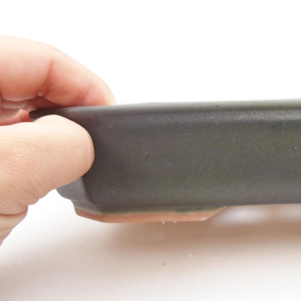 Ciotola bonsai in ceramica 22 x 17 x 5 cm, verde